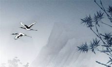 2023年新历2月适合动土的吉日 黄道吉日查询