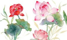 2023年1月26日适合动土吗 建房开工合不合适