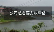 公司起名要力戒庸俗