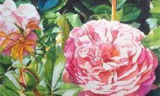 2023年1月24日动土好吗 是黄道吉日吗