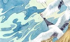 2023年1月27日动土好不好 是建房动土吉利日子吗