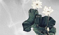 2023年正月二十三开业好吗 2023年正月二十三是黄道吉日吗