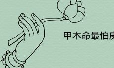 甲木命最怕庚金为什么