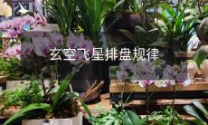 玄空飞星排盘规律