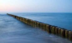 冬月出生的属蛇人好吗 农历11月出生属蛇人命好不好