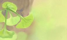 餐厅风水避煞有妙法