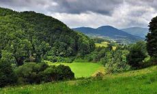 刑太岁什么意思 十二生肖相刑表