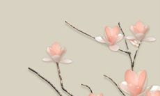 2022年9月4日商铺开张好吗 好日子查询