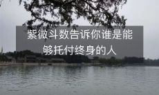 紫微斗数告诉你谁是能够托付终身的人