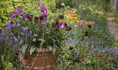 2022年哪些星座的运气好到爆炸