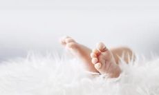 仙女被贬下凡特征有哪些 一般几月出生