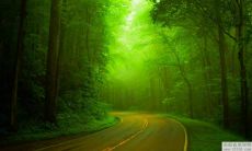 改善桃花的风水可以从哪些方面入手