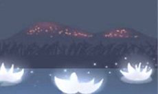 天秤座脱单应讲究还是将就？