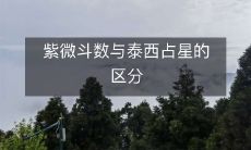 紫微斗数与泰西占星的区分