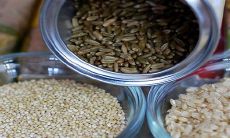 端午节吃粽子的来历故事 粽子的演变过程