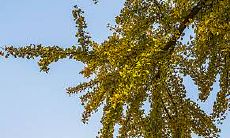 店铺风水系列可以让生意越来越受欢迎