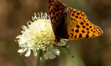 2022年二十四节气详细时间表及顺口溜