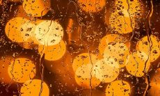 清明节出生的女孩很特别 命好一生幸福