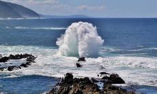 刀架摆放哪里对风水好 刀架放在什么位置适合