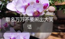 取名万万不要闹出大笑话