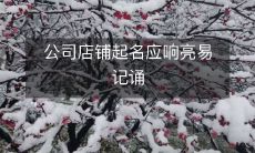 公司店铺起名应响亮易记诵