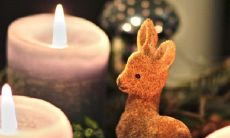 清明节又称寒食节对吗 分别有什么习俗