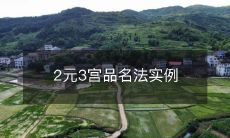 2元3宫品名法实例