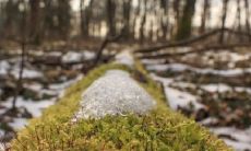 2022年清明前社日是哪天 清明习俗有什么