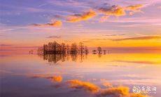 91年4月25日是什么命 农历三月十一出生命运