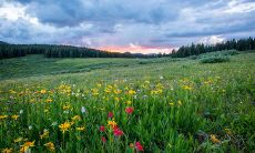 梦见照顾婴儿有什么寓意