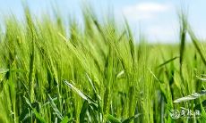 91年4月28日是什么命 农历三月十四出生命运