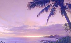 梦见和异性发生了性关系是什么意思