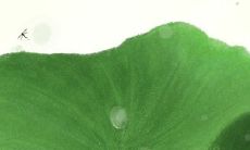 测2017年你的生活会发生什么大变化