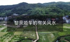 娶亲婚车的有关风水