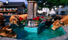 2023运气最好的生肖是 生肖牛事业上运势得利