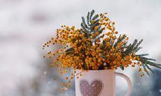 91年11月15日是什么命 农历十月初十出生命运