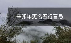 辛卯年更名五行喜忌