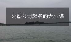 公然公司起名的大忌讳
