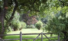 三两八钱男命一生婚姻如何 爱情美满晚年幸福