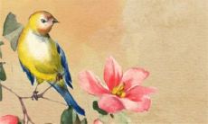 2022年8月30日开张日子好么 商铺营业吉利吗