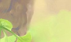 居家办公钟表摆放风水