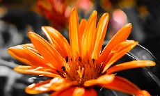 高考运气好 八字有什么特征