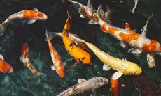 2002房号的风水 房屋风水变好的方法