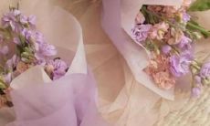 2022年圣诞节结婚办酒好吗 是结婚黄道吉日吗