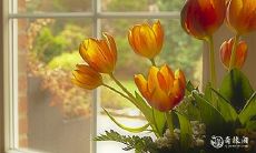 91年4月15日是什么命 农历三月初一出生命运