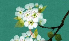 改婚期对婆婆不好怎么破 改婚期对婆婆真的不好吗