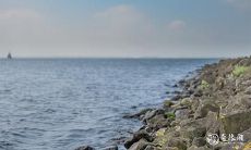 91年4月16日是什么命 农历三月初二出生命运