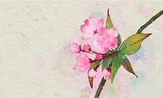 结婚回门是第几天 回门可以在娘家住吗