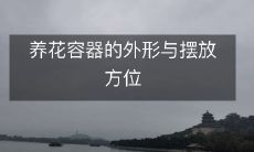 养花容器的外形与摆放方位