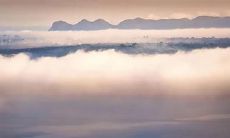 91年4月18日是什么命 农历三月初四出生命运